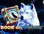 Book of Wolves Demo Mode