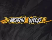 Born Wild – Hacksaw gaming Slot Machine in Demo Mode