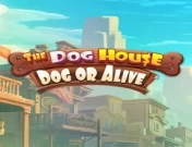 The Dog House Dog Or Alive Demo