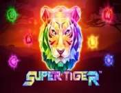 Super Tiger Free Play